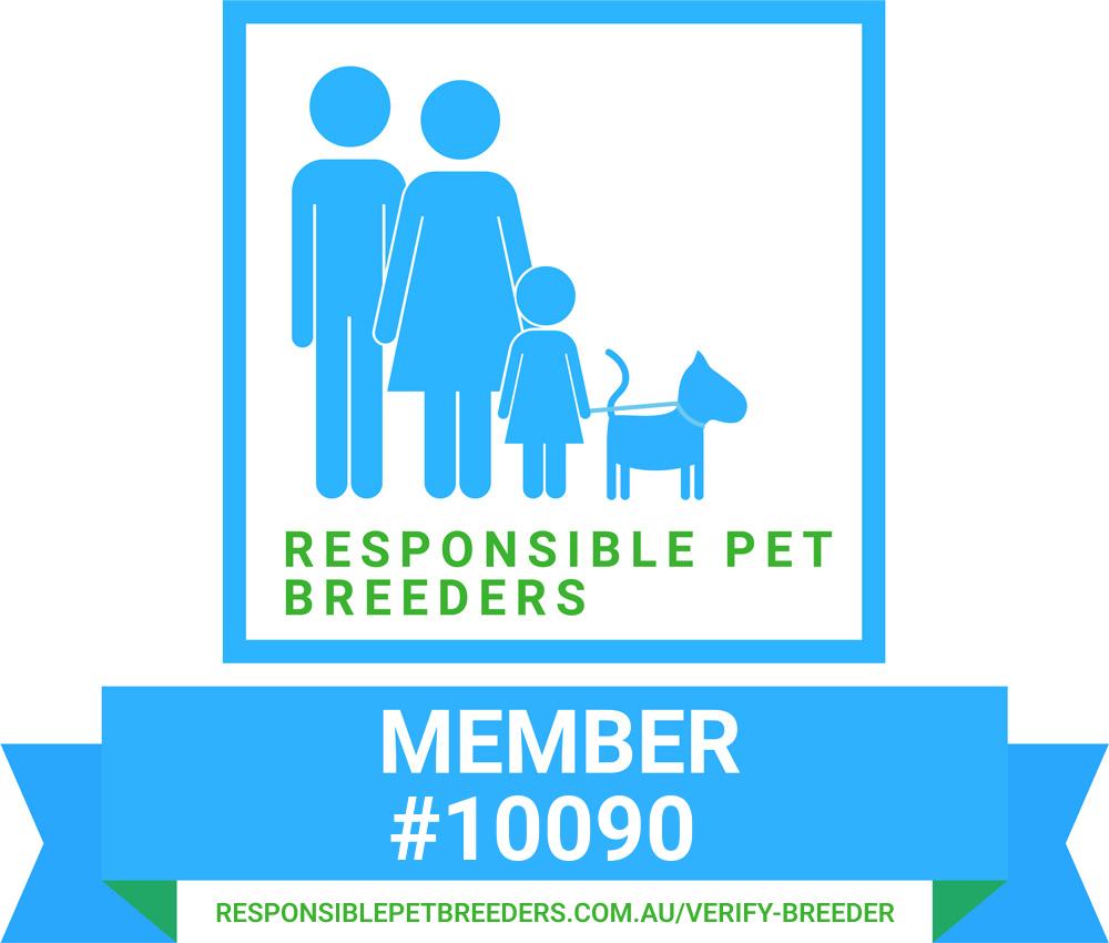 RPBA Member Badge