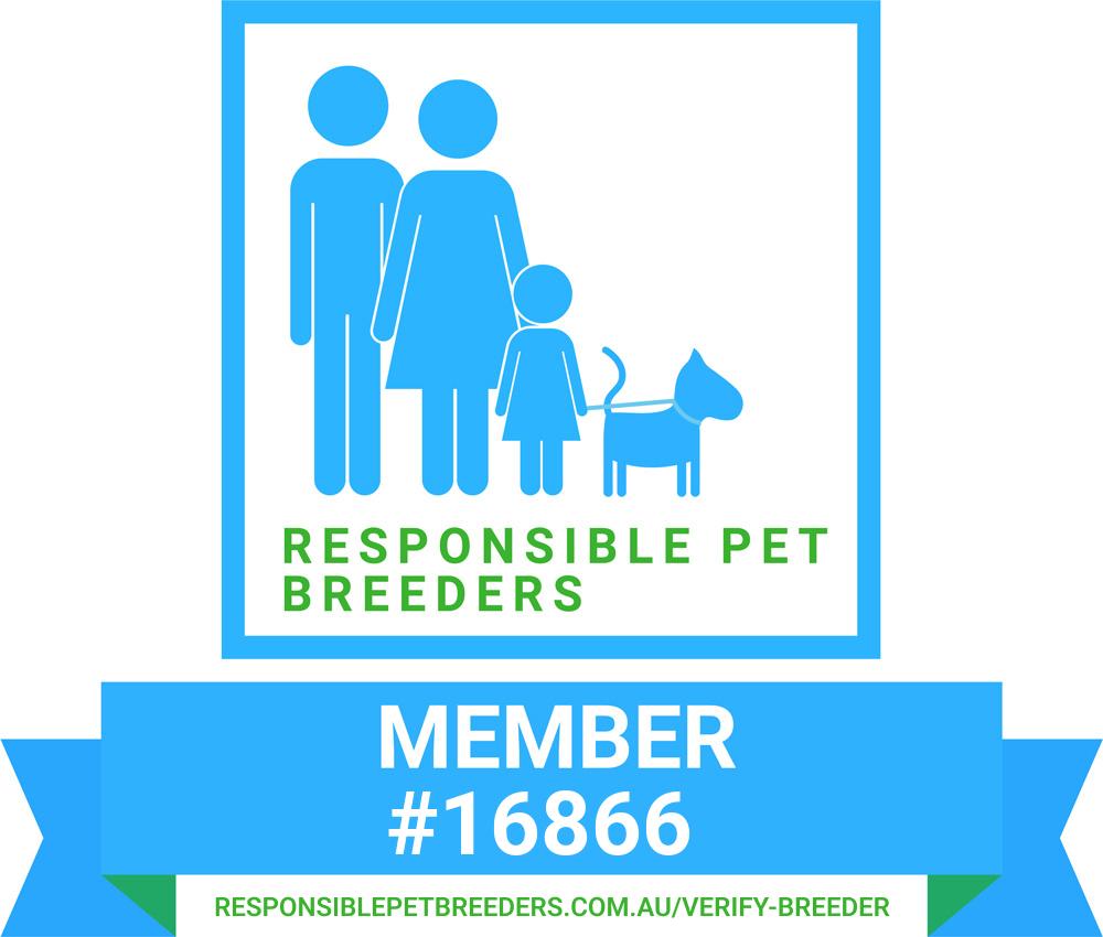 RPBA Member Badge