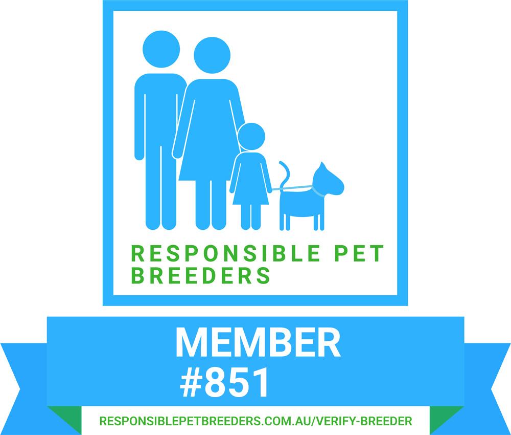RPBA Member Badge